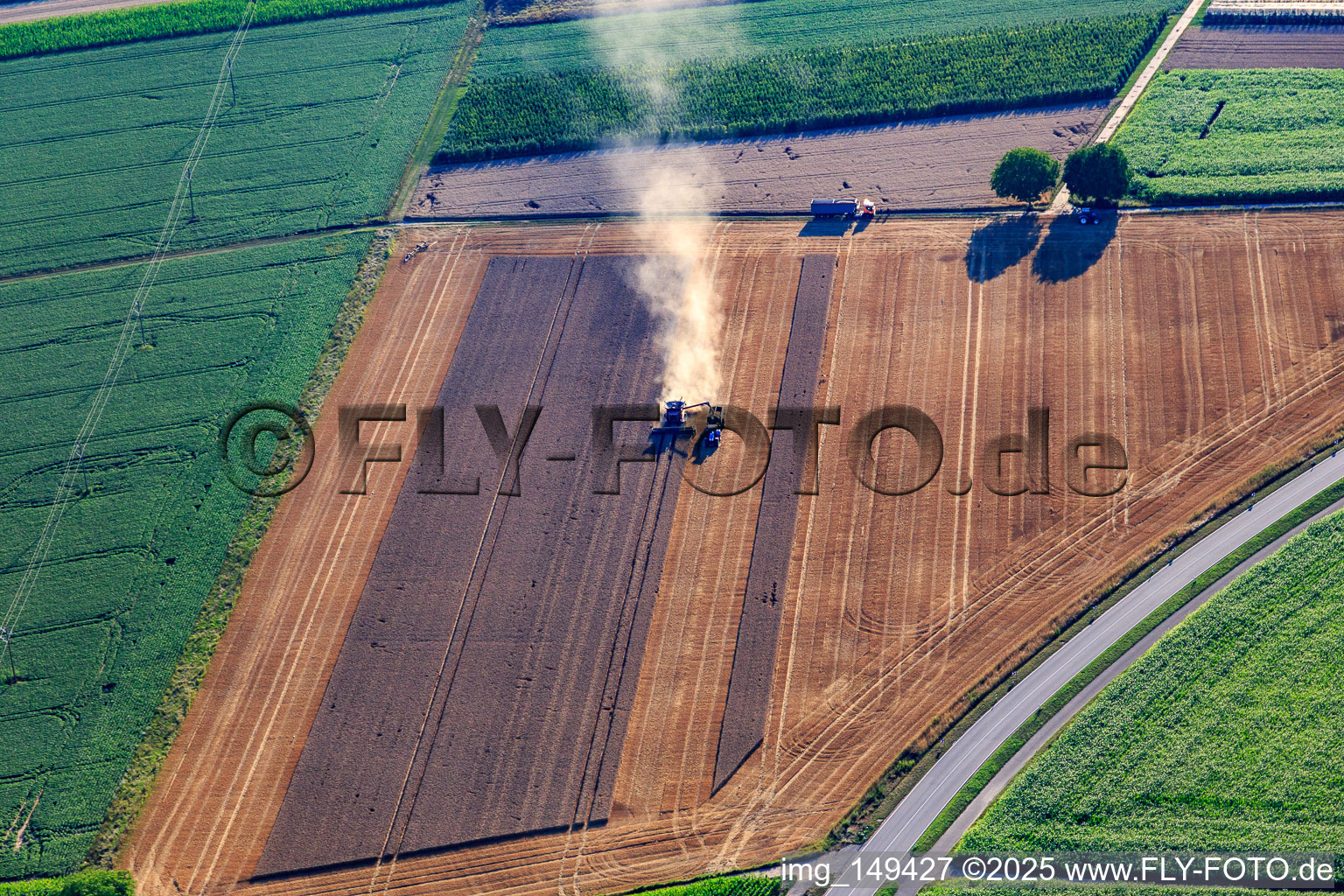 Getreideernte mit Mähdrescher in Aktion in Minfeld im Bundesland Rheinland-Pfalz, Deutschland
