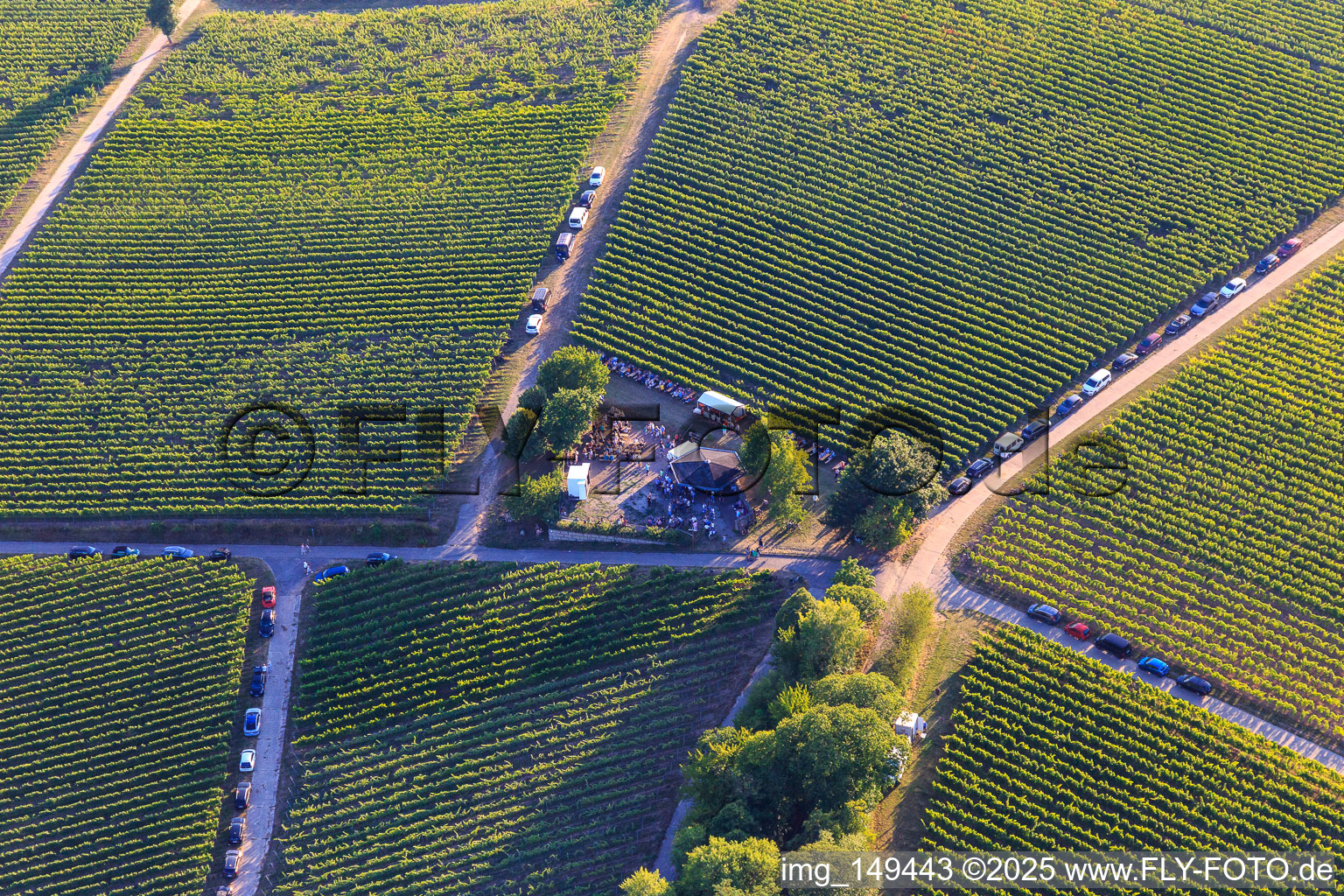 Weinfest an der Grillhütte Weinpanorama im Ortsteil Heuchelheim in Heuchelheim-Klingen im Bundesland Rheinland-Pfalz, Deutschland