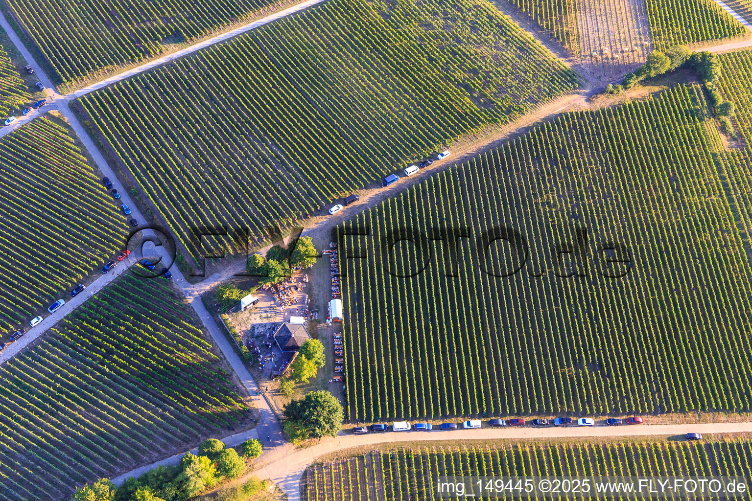 Luftbild von Weinfest an der Grillhütte Weinpanorama im Ortsteil Heuchelheim in Heuchelheim-Klingen im Bundesland Rheinland-Pfalz, Deutschland
