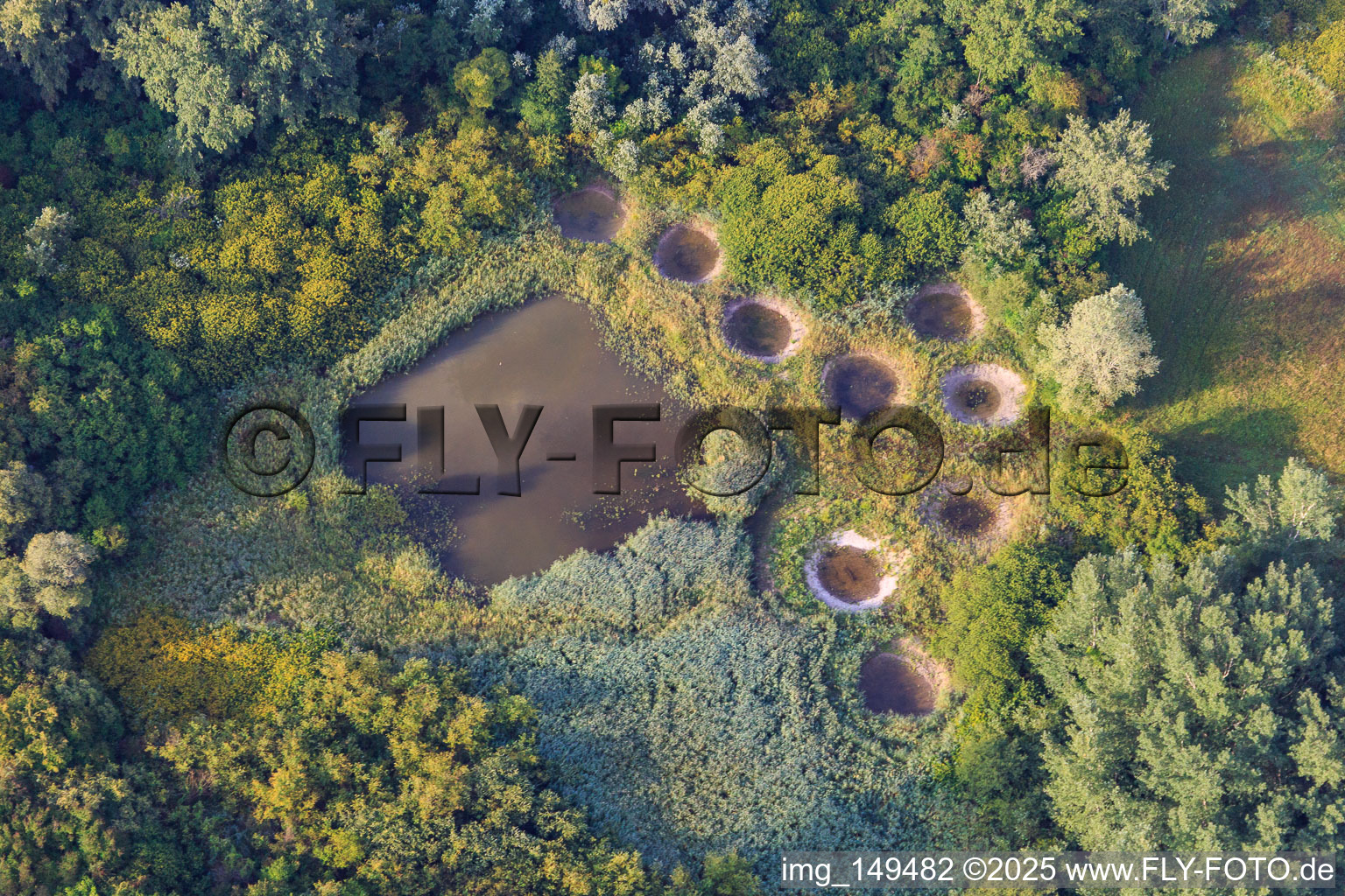 Naturschutzgebiet Réserve biologique dirigée de Lauterbourg im Bundesland Bas-Rhin, Frankreich