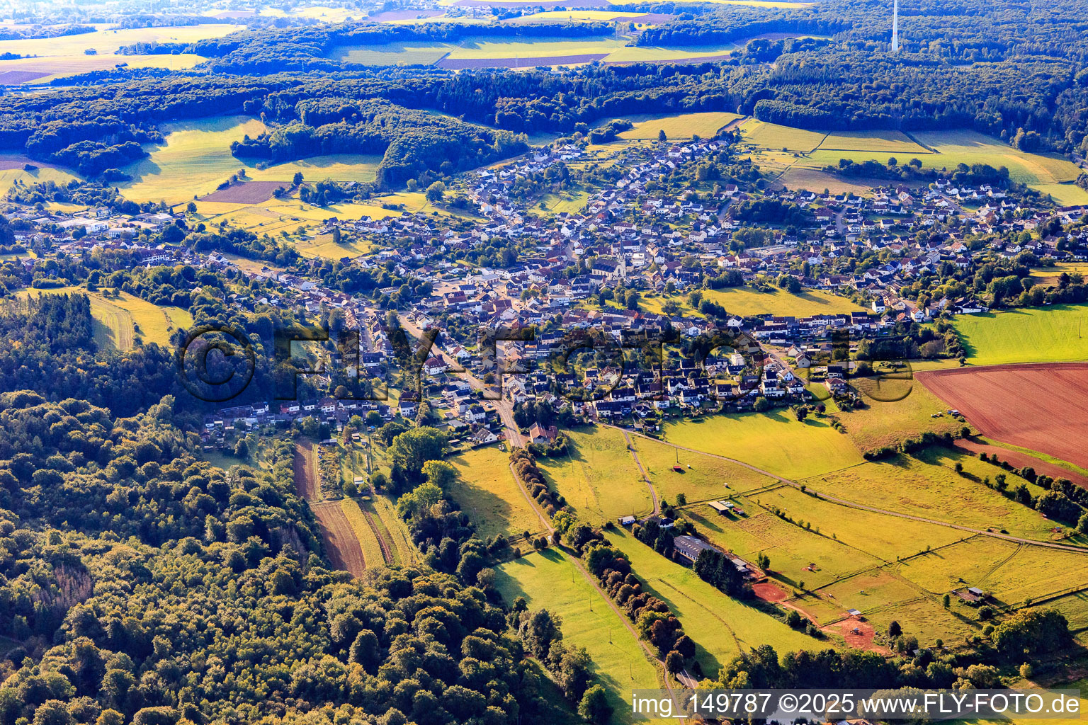 Schwarzenholz von Nordwesten in Saarwellingen im Bundesland Saarland, Deutschland
