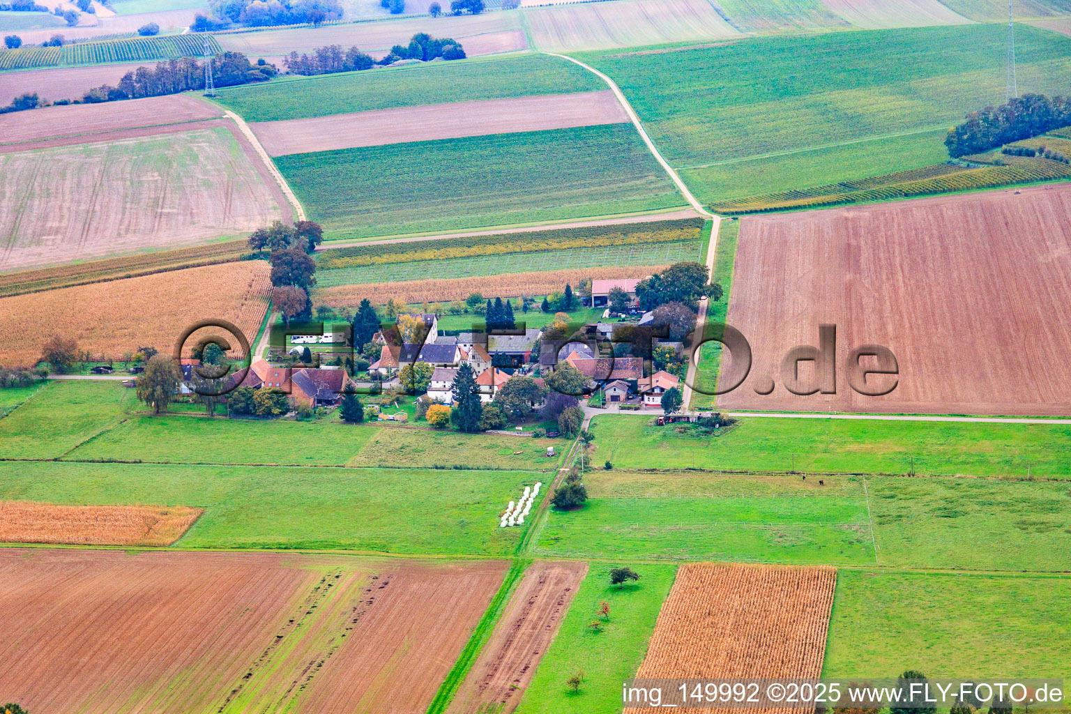 Eichenhof im Ortsteil Deutschhof in Kapellen-Drusweiler im Bundesland Rheinland-Pfalz, Deutschland