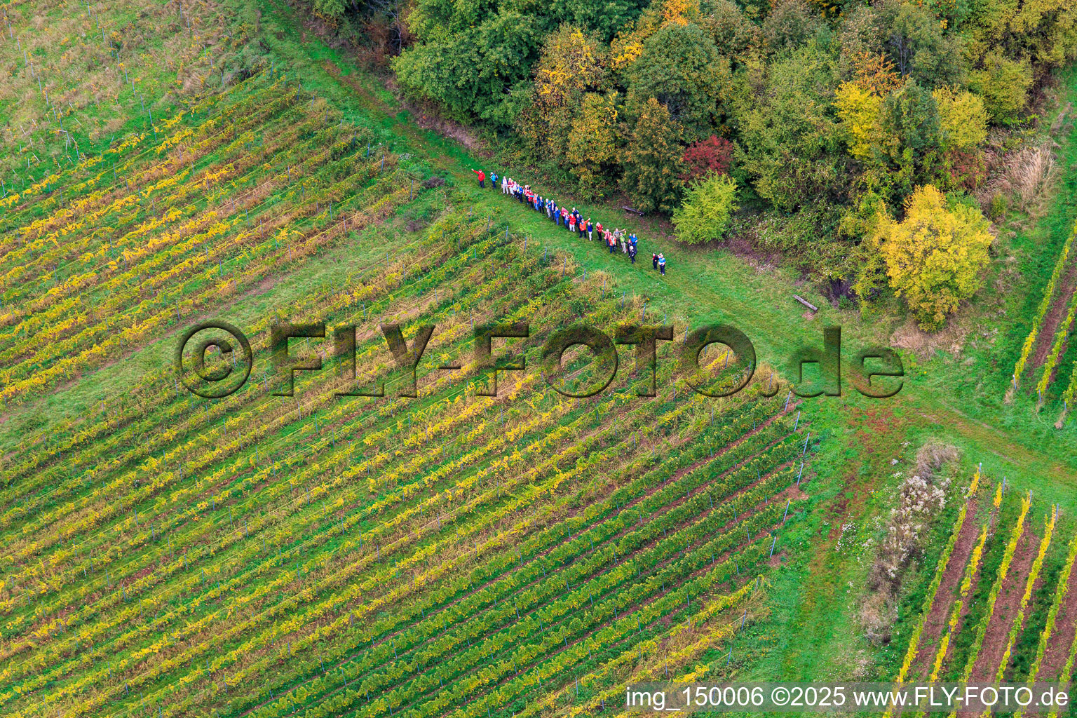 Wandergruppe zwichen Wald und Wein in Dörrenbach im Bundesland Rheinland-Pfalz, Deutschland