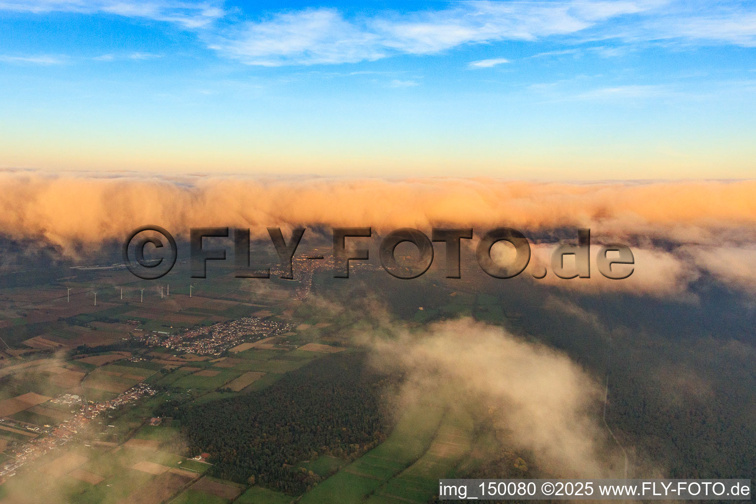 Viehstrich unter Wolken am Abend von Westen in Minfeld im Bundesland Rheinland-Pfalz, Deutschland