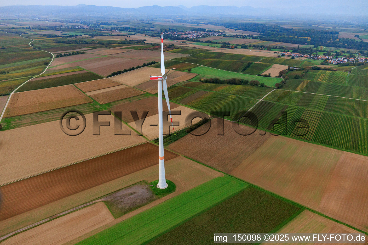 Windpark Freckenfeld im Bundesland Rheinland-Pfalz, Deutschland von oben gesehen