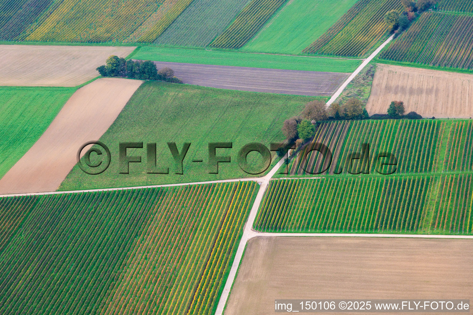 Felder und Weinberge im Tiefen Tal im Ortsteil Mühlhofen in Billigheim-Ingenheim im Bundesland Rheinland-Pfalz, Deutschland