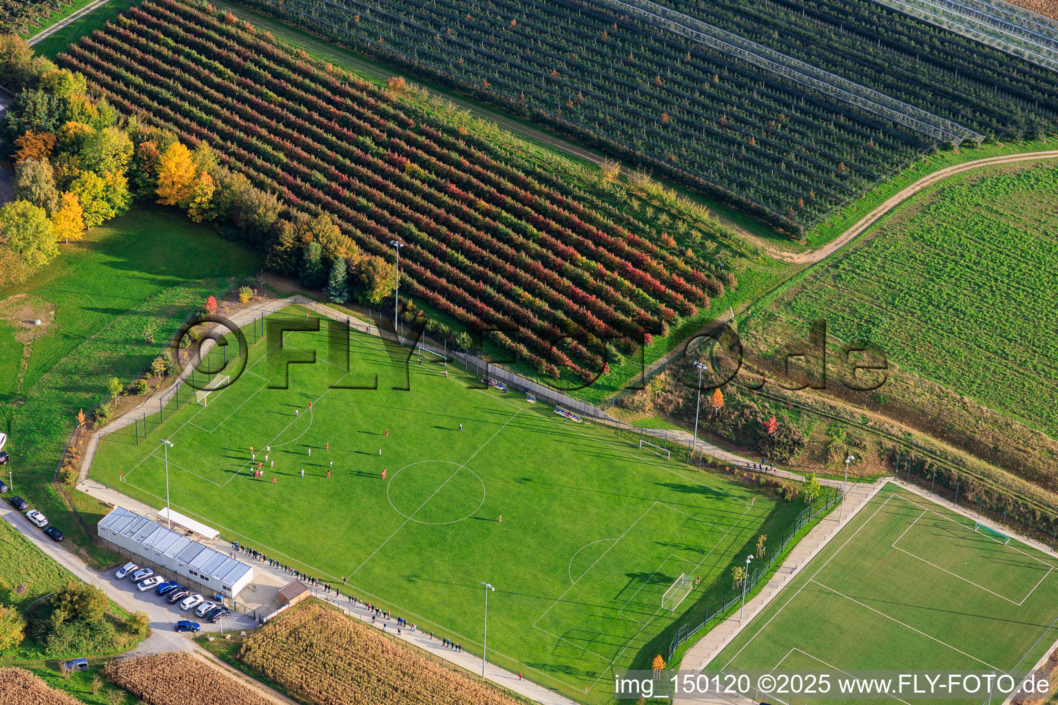 Stade Municipal - A.S. Seebach im Bundesland Bas-Rhin, Frankreich