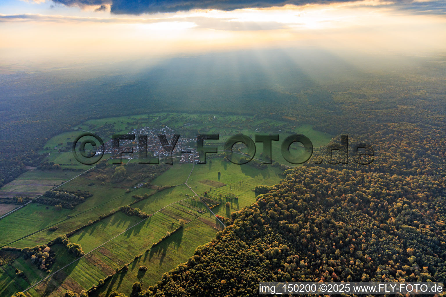 Ort in einer Lichtung des Bienwalds im Gegenlicht im Ortsteil Büchelberg in Wörth am Rhein im Bundesland Rheinland-Pfalz, Deutschland