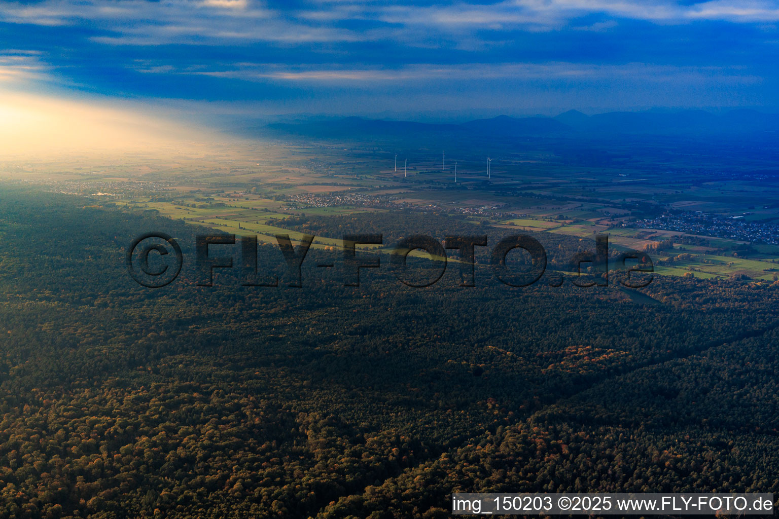 Viehstrich am Bienwald in dramatischer Abendbeleuchtung im Ortsteil Schaidt in Wörth am Rhein im Bundesland Rheinland-Pfalz, Deutschland
