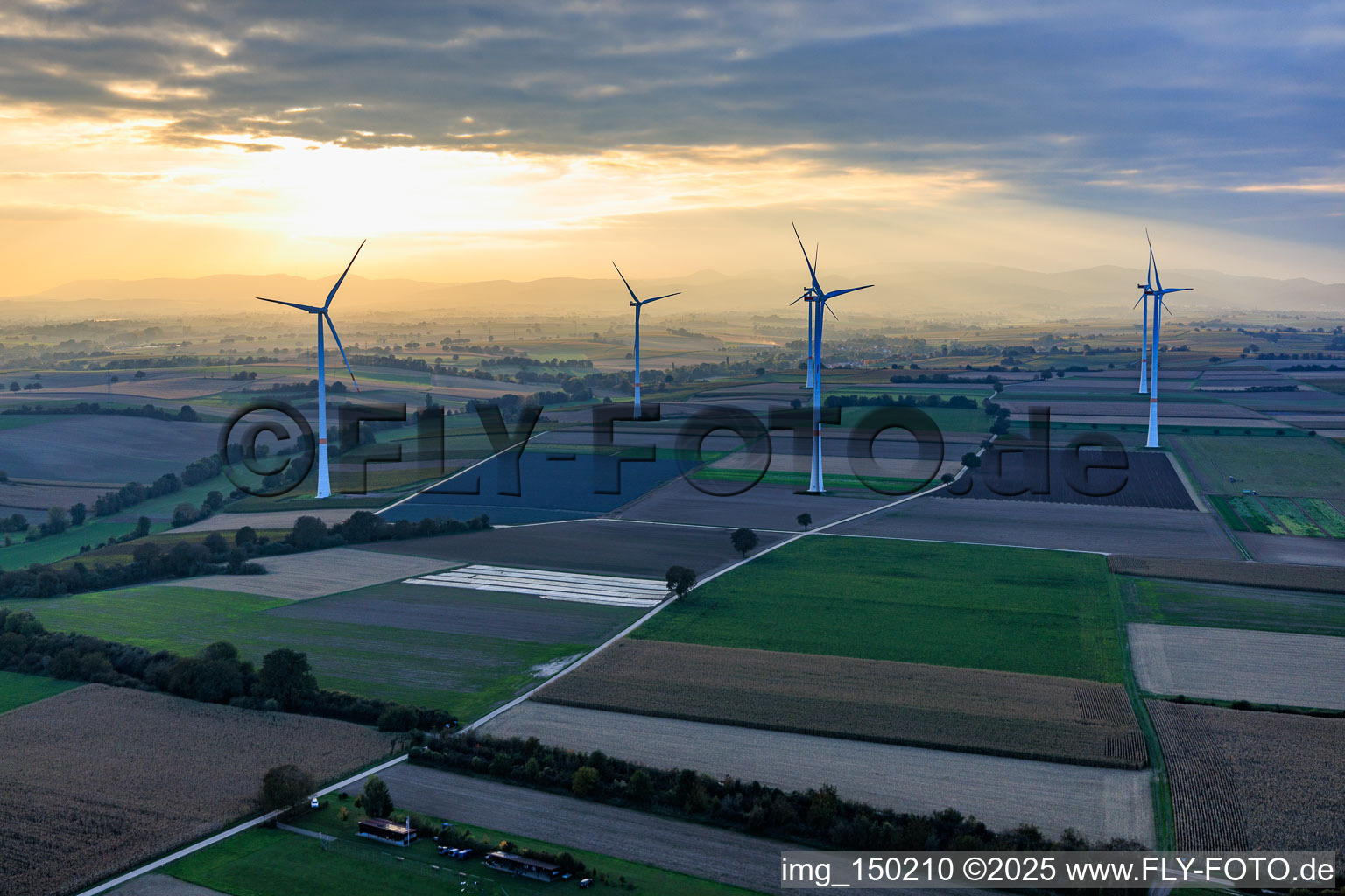 Windpark Freckenfeld im Abendlicht von Westen im Bundesland Rheinland-Pfalz, Deutschland