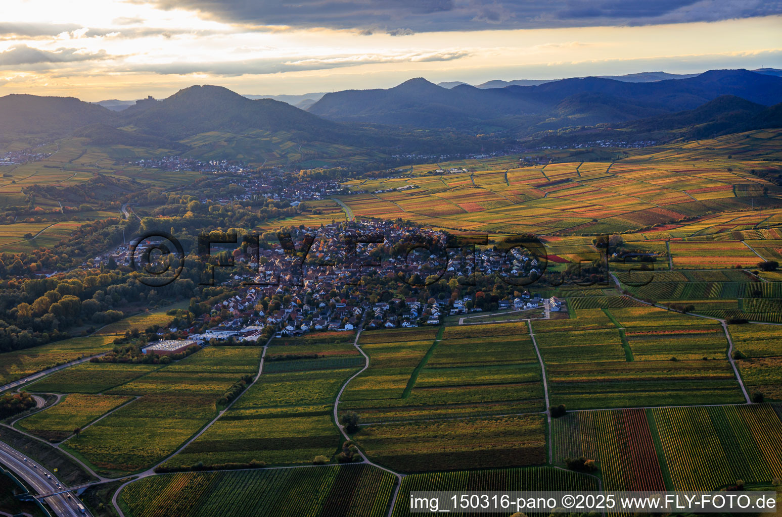 Ortsansicht im Rebenmeer von Osten im Herbst am Abend im Ortsteil Godramstein in Landau in der Pfalz im Bundesland Rheinland-Pfalz, Deutschland