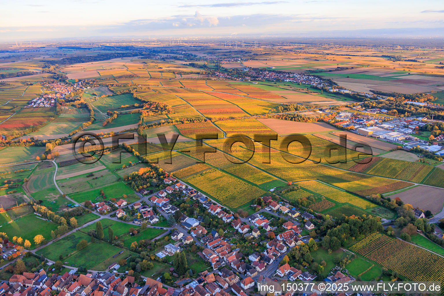 Herbstlich gerfärbte Weinberge zwischen Niederhorbach und Kappellen-Drusweiler im Bundesland Rheinland-Pfalz, Deutschland