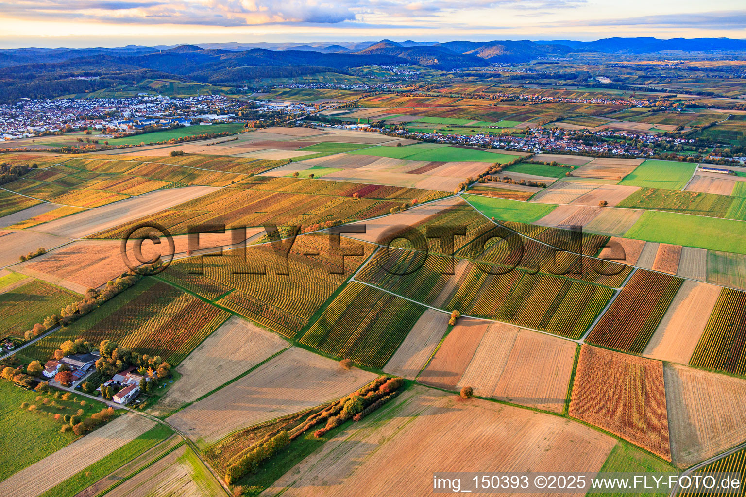 Luftbild von Herbstlich gerfärbte Weinberge zwischen Bad-Bergzabern und Deutschhof in Kapellen-Drusweiler im Bundesland Rheinland-Pfalz, Deutschland