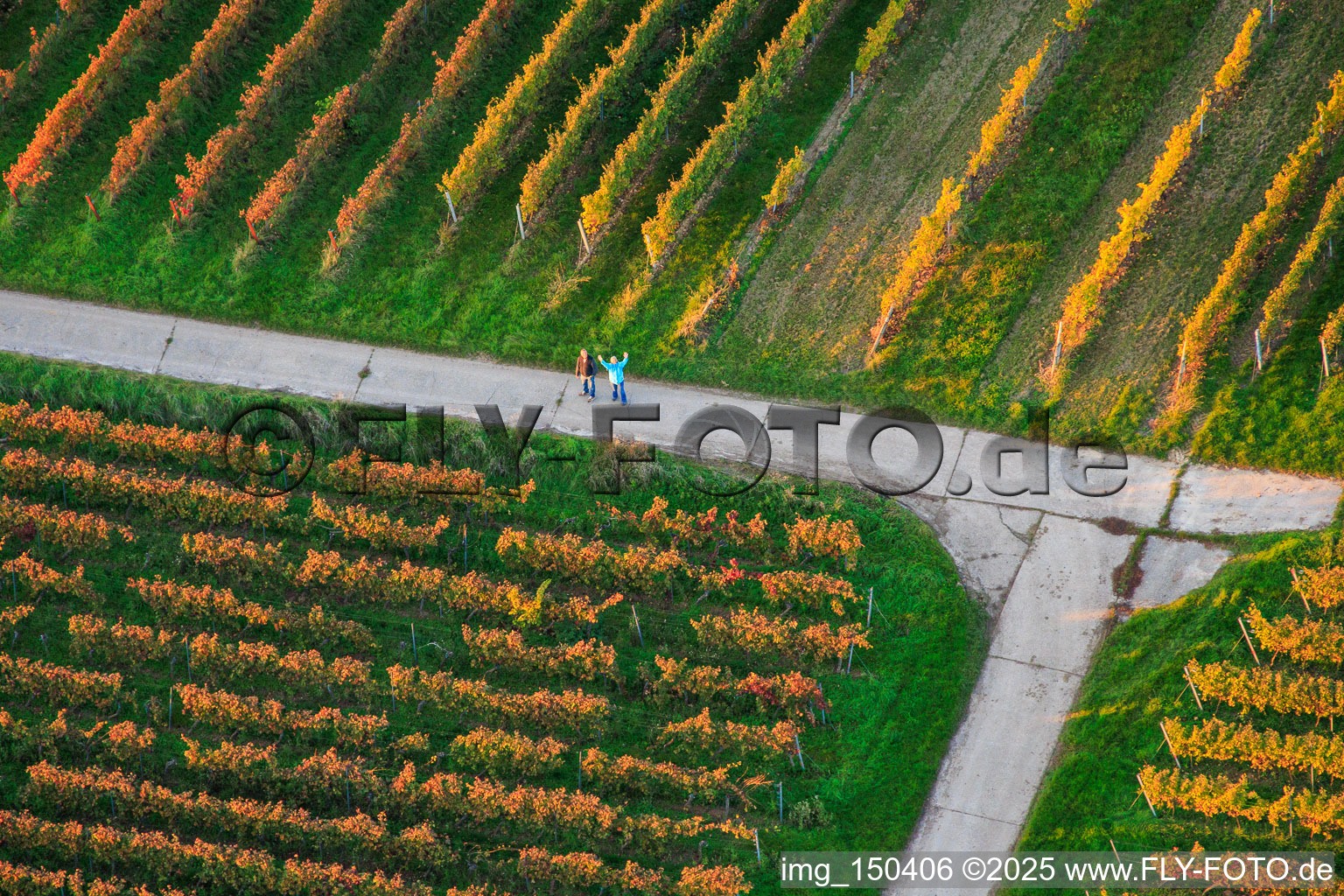 Spaziergänger im Weinberg in Dierbach im Bundesland Rheinland-Pfalz, Deutschland