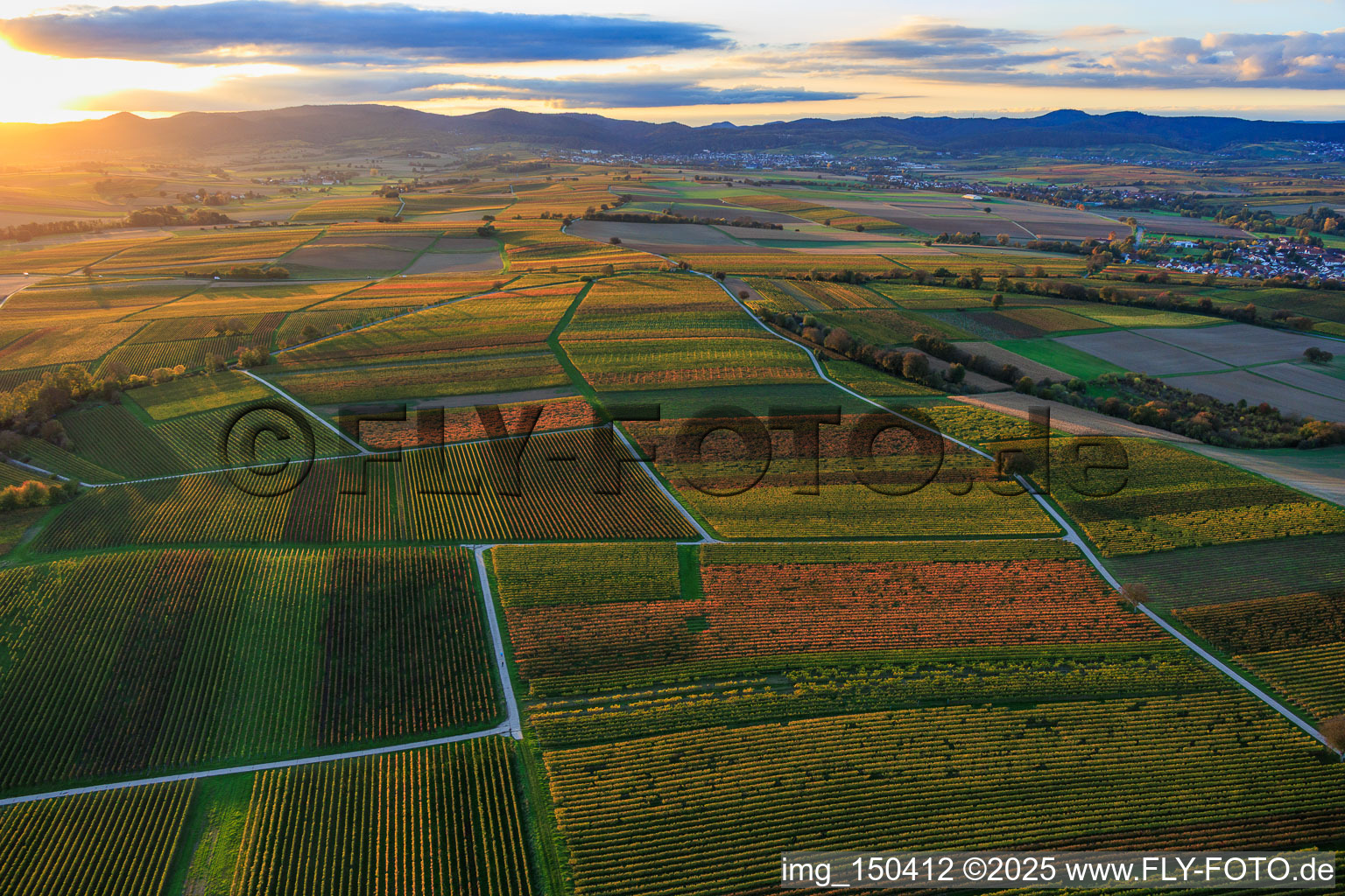 Herbstlich gerfärbte Weinberge am Abend zwischen Oberhausen und Deutschhof in Dierbach im Bundesland Rheinland-Pfalz, Deutschland