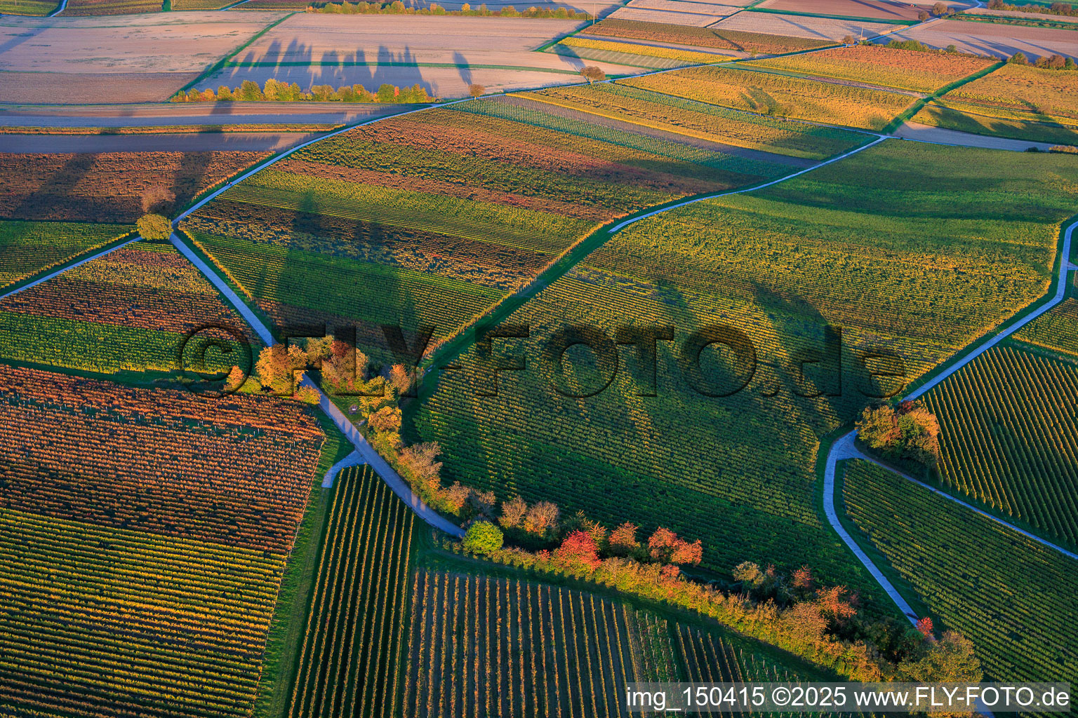 Luftbild von Herbstlich gerfärbte Weinberge zwischen Dierbach und Hergersweiler im Bundesland Rheinland-Pfalz, Deutschland
