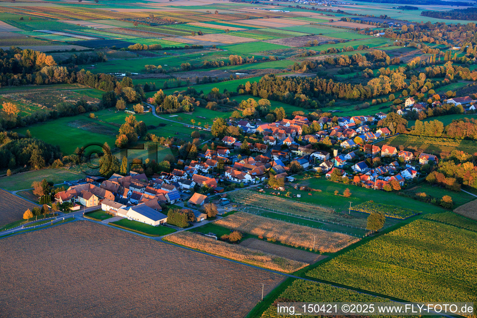 Luftbild von Hergersweiler von Südwesten im Bundesland Rheinland-Pfalz, Deutschland