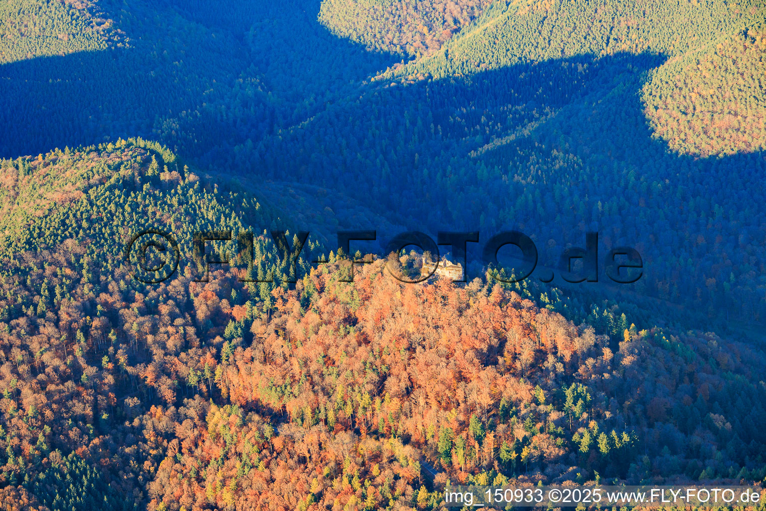 Luftbild von Burgruine Meisteresel im herbstlichen Wald in Ramberg im Bundesland Rheinland-Pfalz, Deutschland