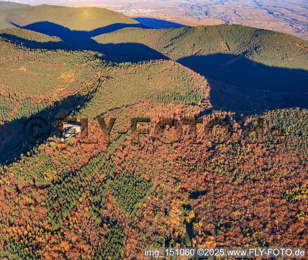 Burgruine Neuscharfeneck im herbstlichen Wald in Flemlingen im Bundesland Rheinland-Pfalz, Deutschland