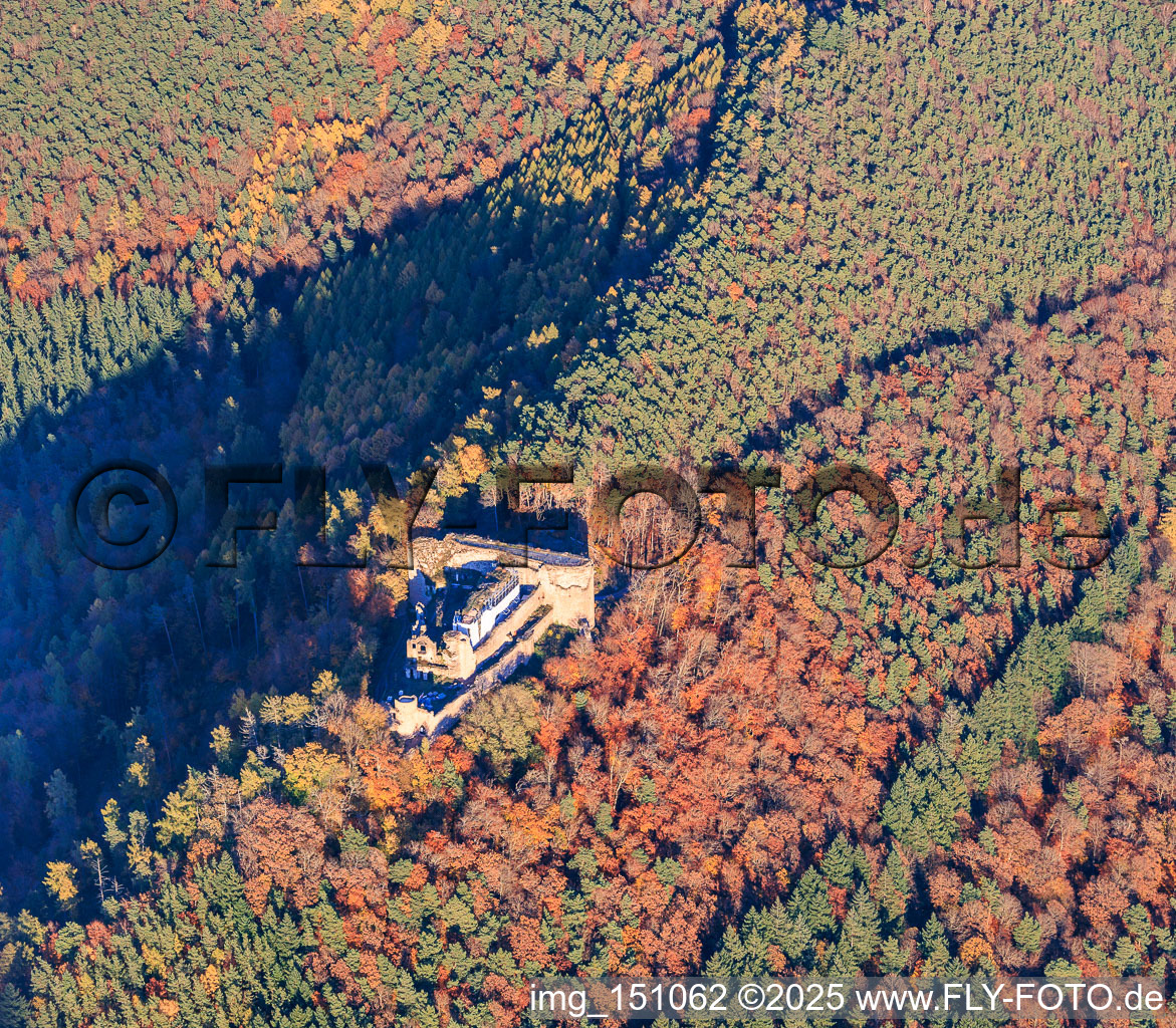 Luftbild von Burgruine Neuscharfeneck im herbstlichen Wald in Flemlingen im Bundesland Rheinland-Pfalz, Deutschland