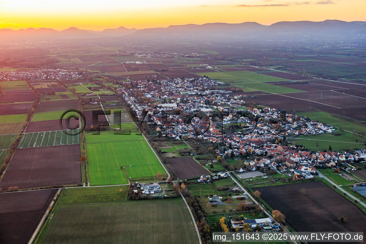 Luftbild von Niederlustadt von Osten in Lustadt im Bundesland Rheinland-Pfalz, Deutschland
