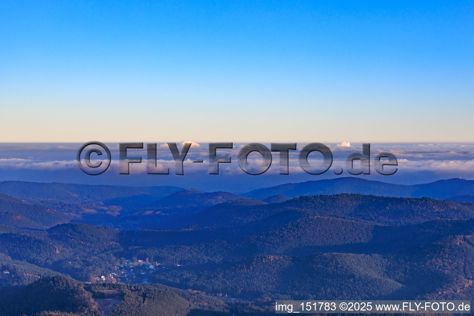 Lauterschwan aus Westen am Abend in Erlenbach bei Dahn im Bundesland Rheinland-Pfalz, Deutschland