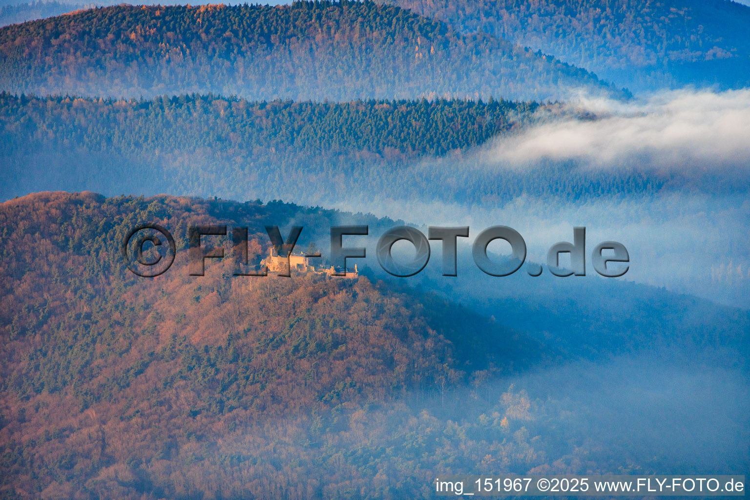Madenburg aus Süden am Abend in Eschbach im Bundesland Rheinland-Pfalz, Deutschland