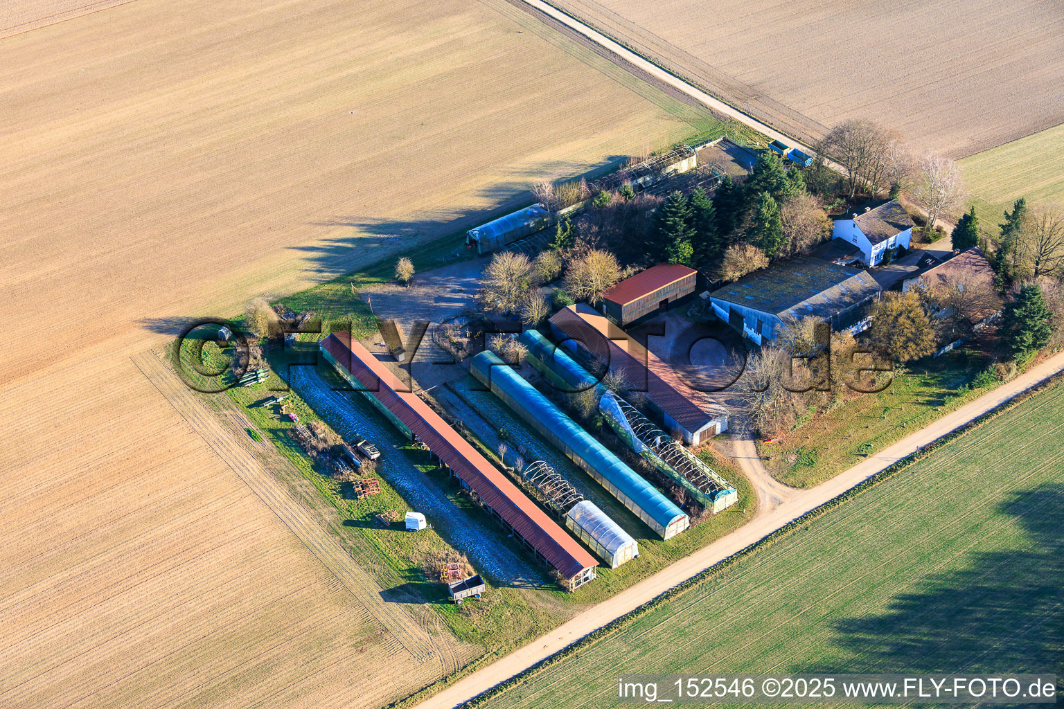 In den Kieseläckern in Wörth am Rhein im Bundesland Rheinland-Pfalz, Deutschland