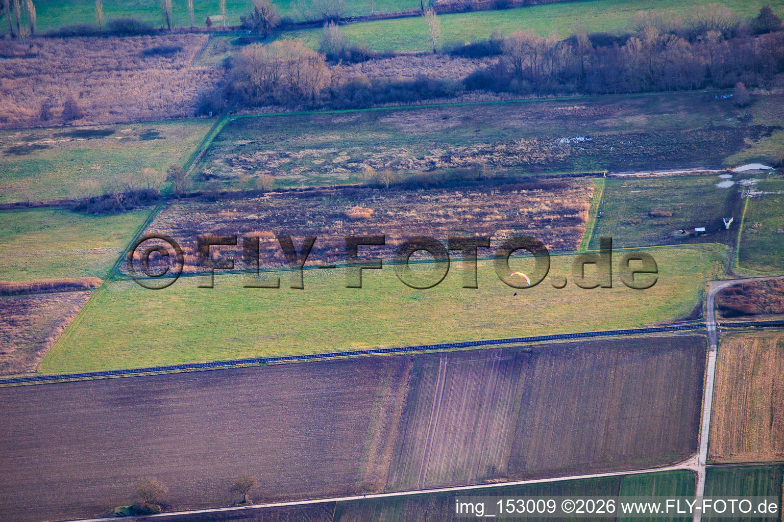 Billigheimer Bruch im Ortsteil Mühlhofen in Billigheim-Ingenheim im Bundesland Rheinland-Pfalz, Deutschland