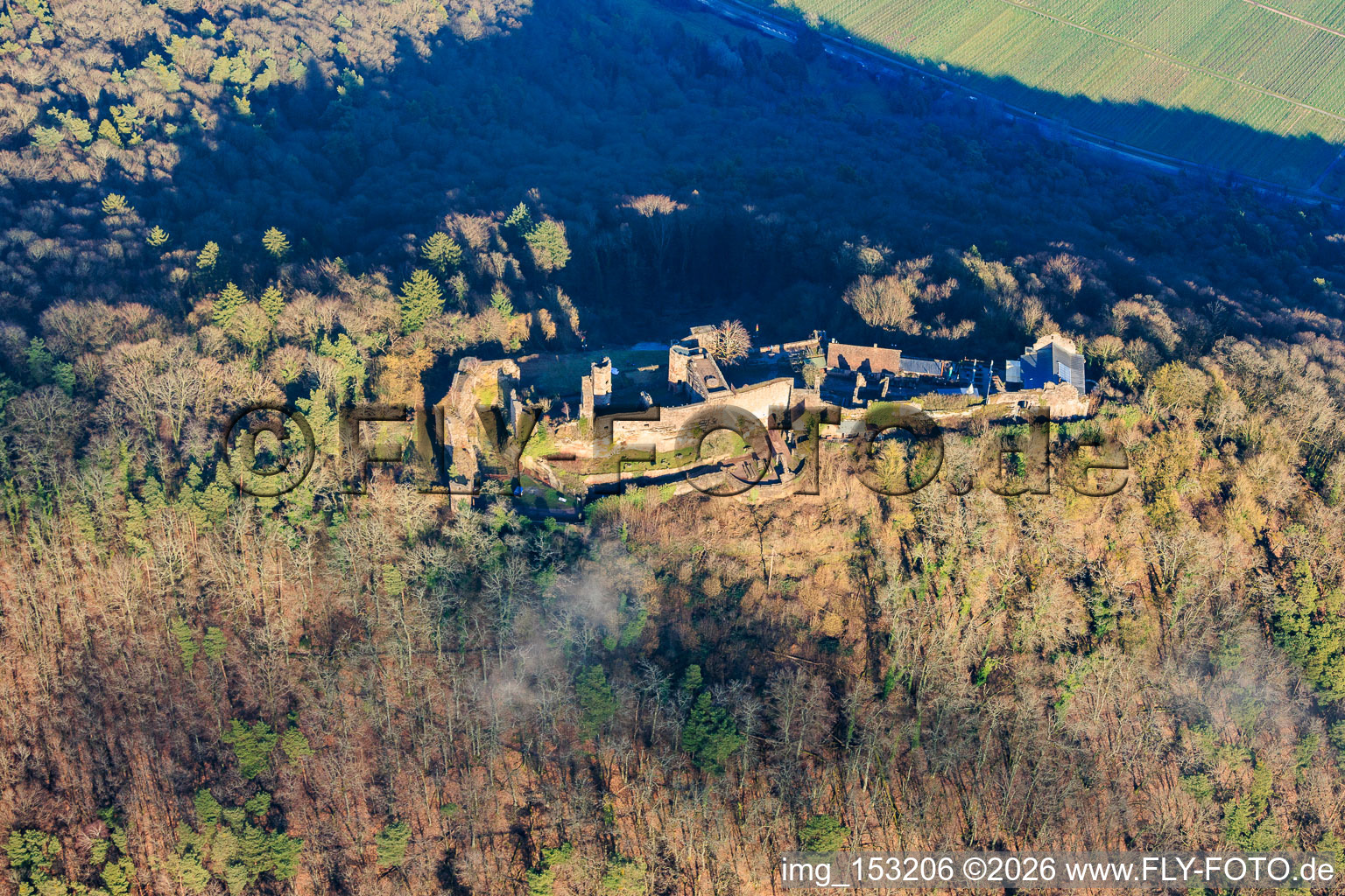 Burgruine Madenburg aus Westen in Waldhambach im Bundesland Rheinland-Pfalz, Deutschland
