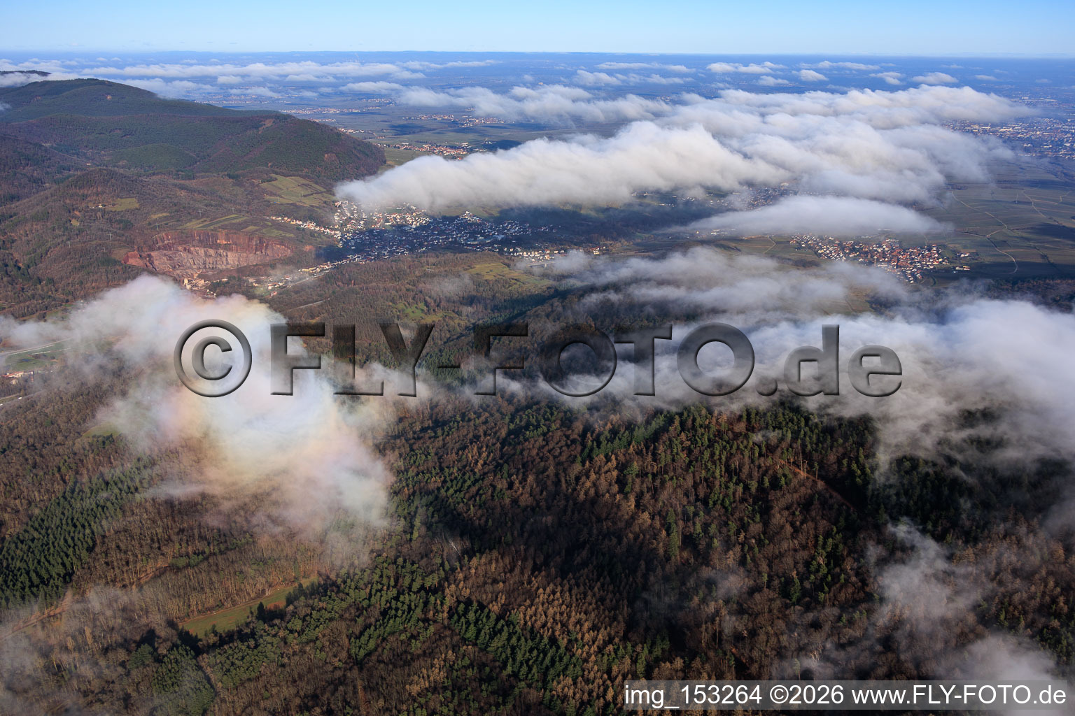 Blick über den Hohenberg aus Südwesten in Albersweiler im Bundesland Rheinland-Pfalz, Deutschland