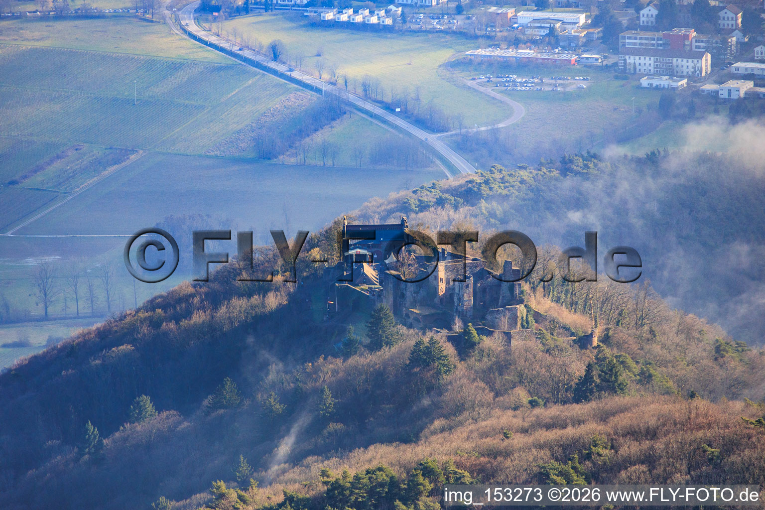 Burgruine Madenburg aus Norden in Leinsweiler im Bundesland Rheinland-Pfalz, Deutschland