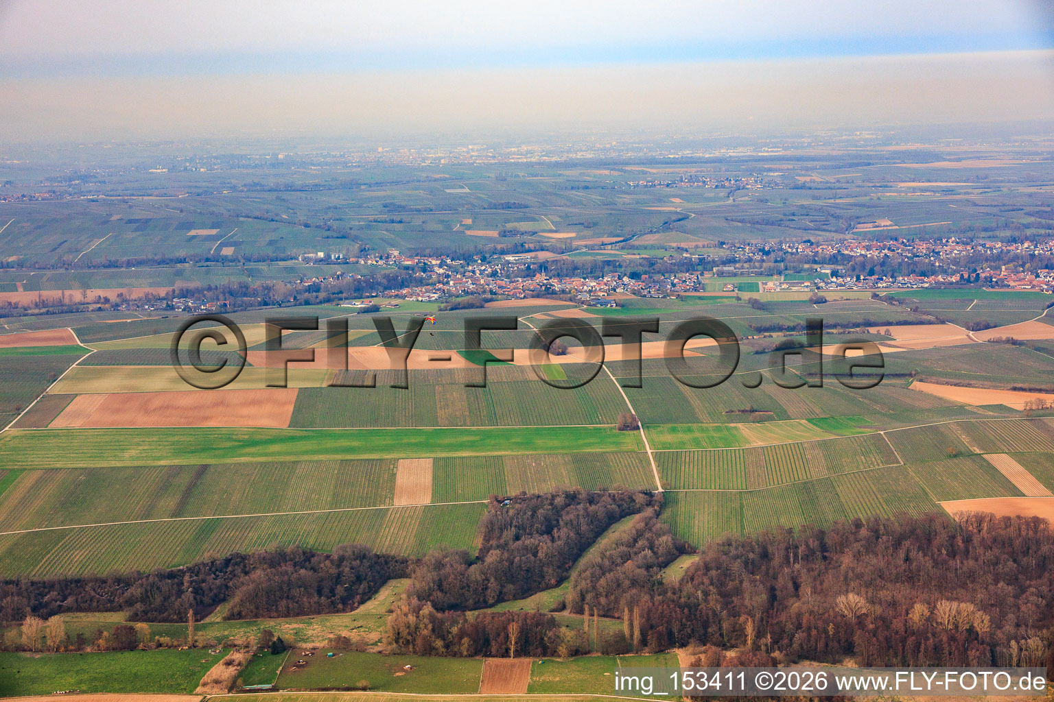 Tiefental aus Süden im Ortsteil Ingenheim in Billigheim-Ingenheim im Bundesland Rheinland-Pfalz, Deutschland