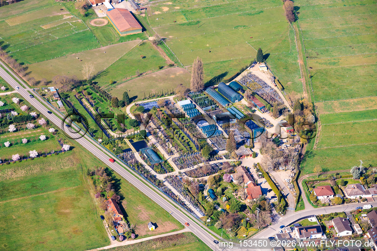 Pflanzenhof Toskanapark im Ortsteil Speyerdorf in Neustadt an der Weinstraße im Bundesland Rheinland-Pfalz, Deutschland