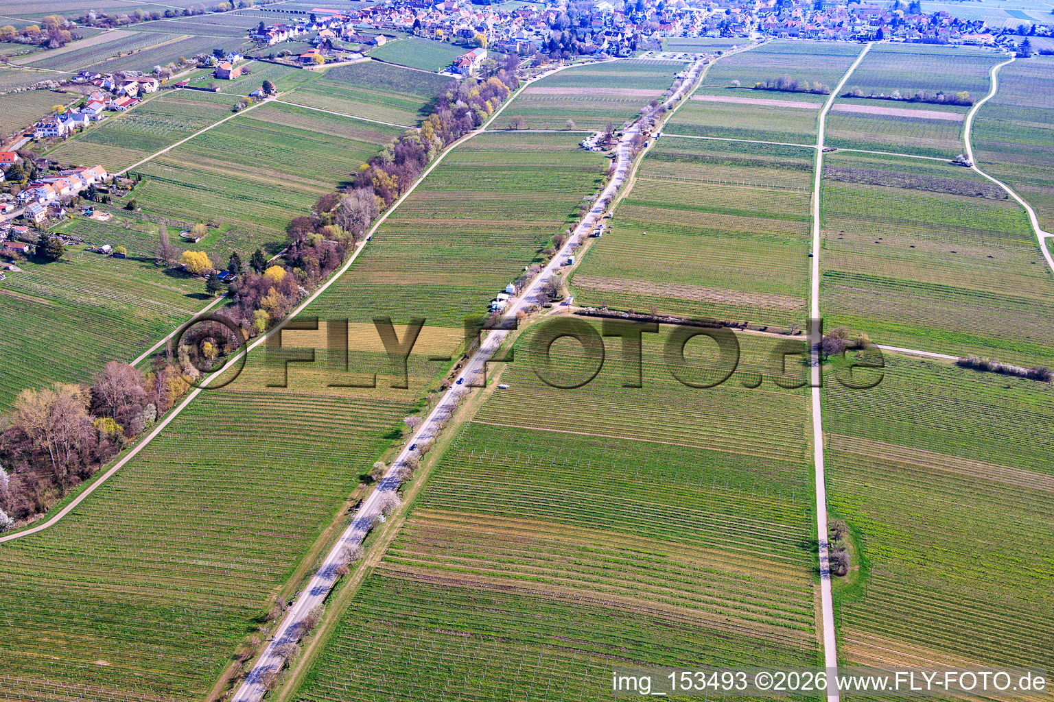 Mandelmeile von Südwesten (Villastraße) in Edenkoben im Bundesland Rheinland-Pfalz, Deutschland