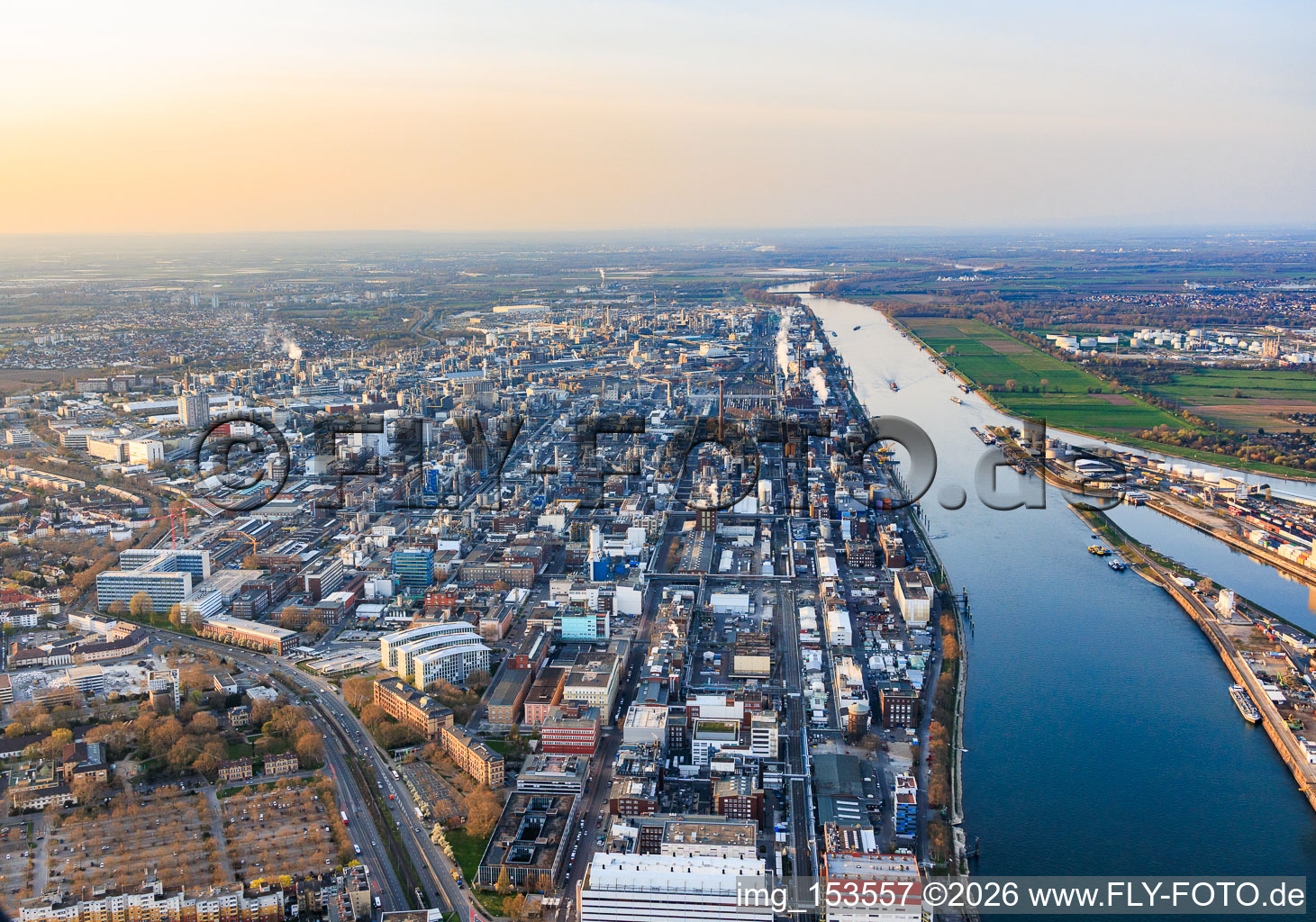 BASF-Gelände am Rheinufer von Süden in Ludwigshafen am Rhein im Bundesland Rheinland-Pfalz, Deutschland
