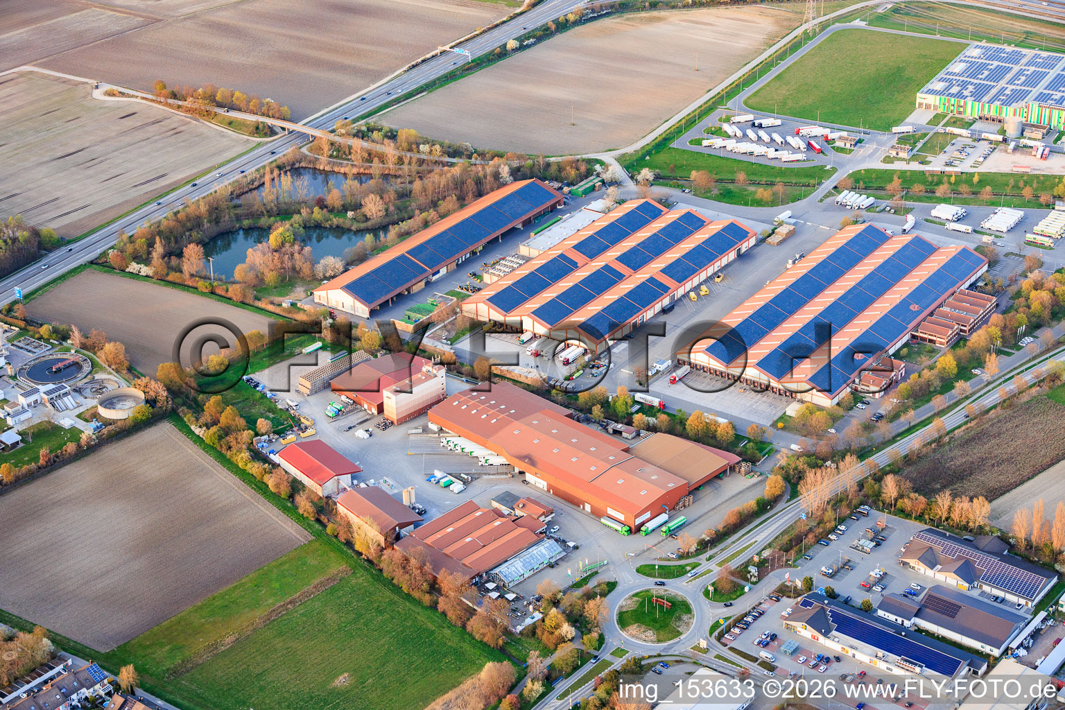 Hallen des Pfalzmarkt für Obst und Gemüse eG in Mutterstadt im Bundesland Rheinland-Pfalz, Deutschland