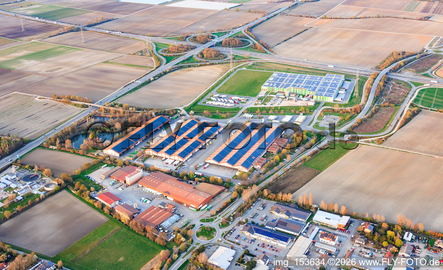 Hallen des Pfalzmarkt für Obst und Gemüse eG in Mutterstadt im Bundesland Rheinland-Pfalz, Deutschland
