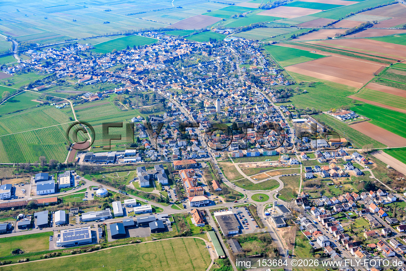 Lachen von Nordosten in Neustadt an der Weinstraße im Bundesland Rheinland-Pfalz, Deutschland