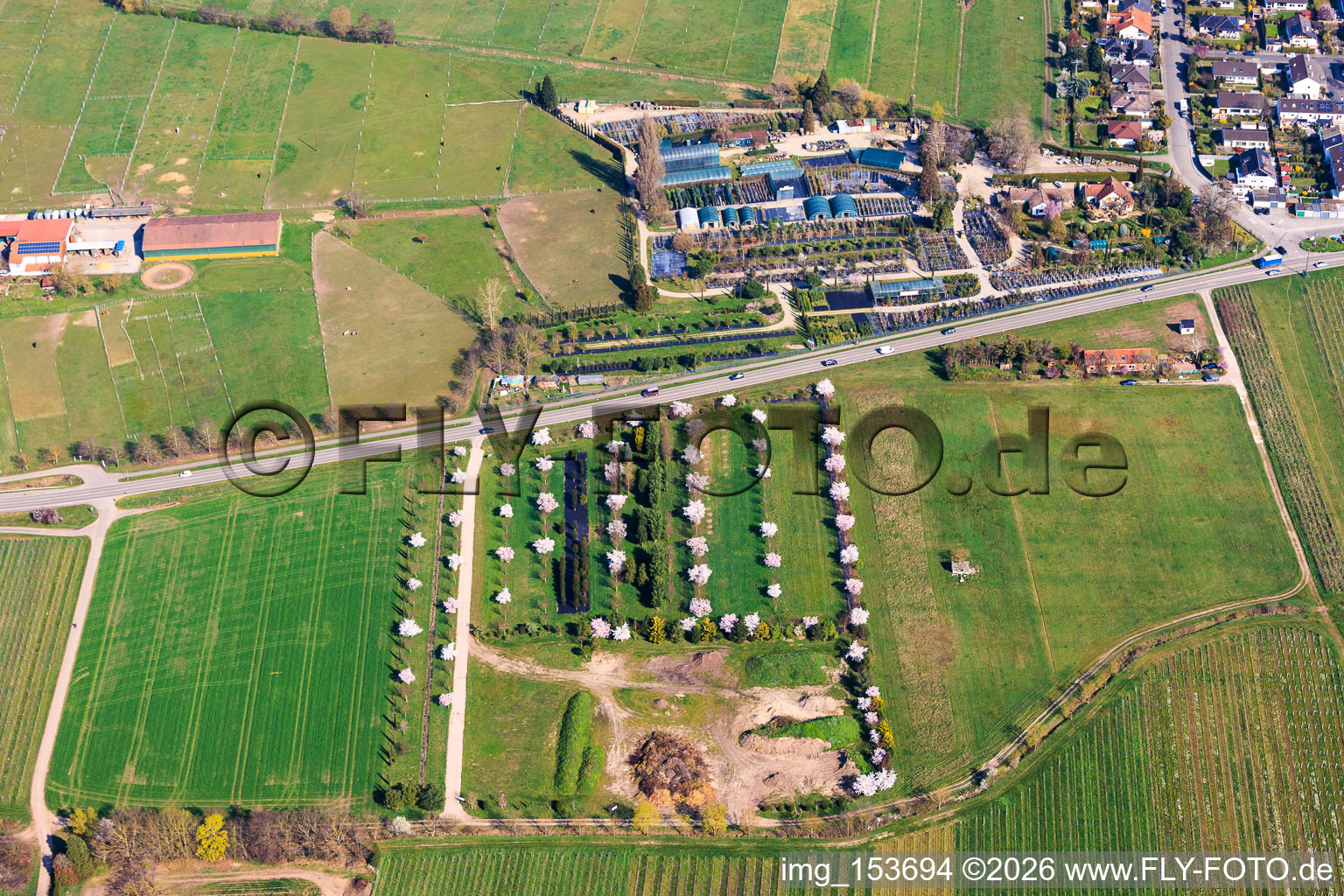 Pflanzenhof Toskanapark im Ortsteil Speyerdorf in Neustadt an der Weinstraße im Bundesland Rheinland-Pfalz, Deutschland