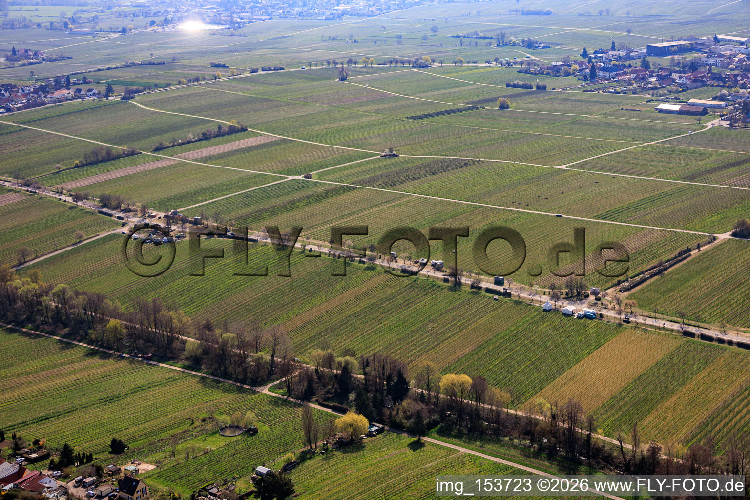 Mandelmeile von Norden (Villastraße) in Edenkoben im Bundesland Rheinland-Pfalz, Deutschland