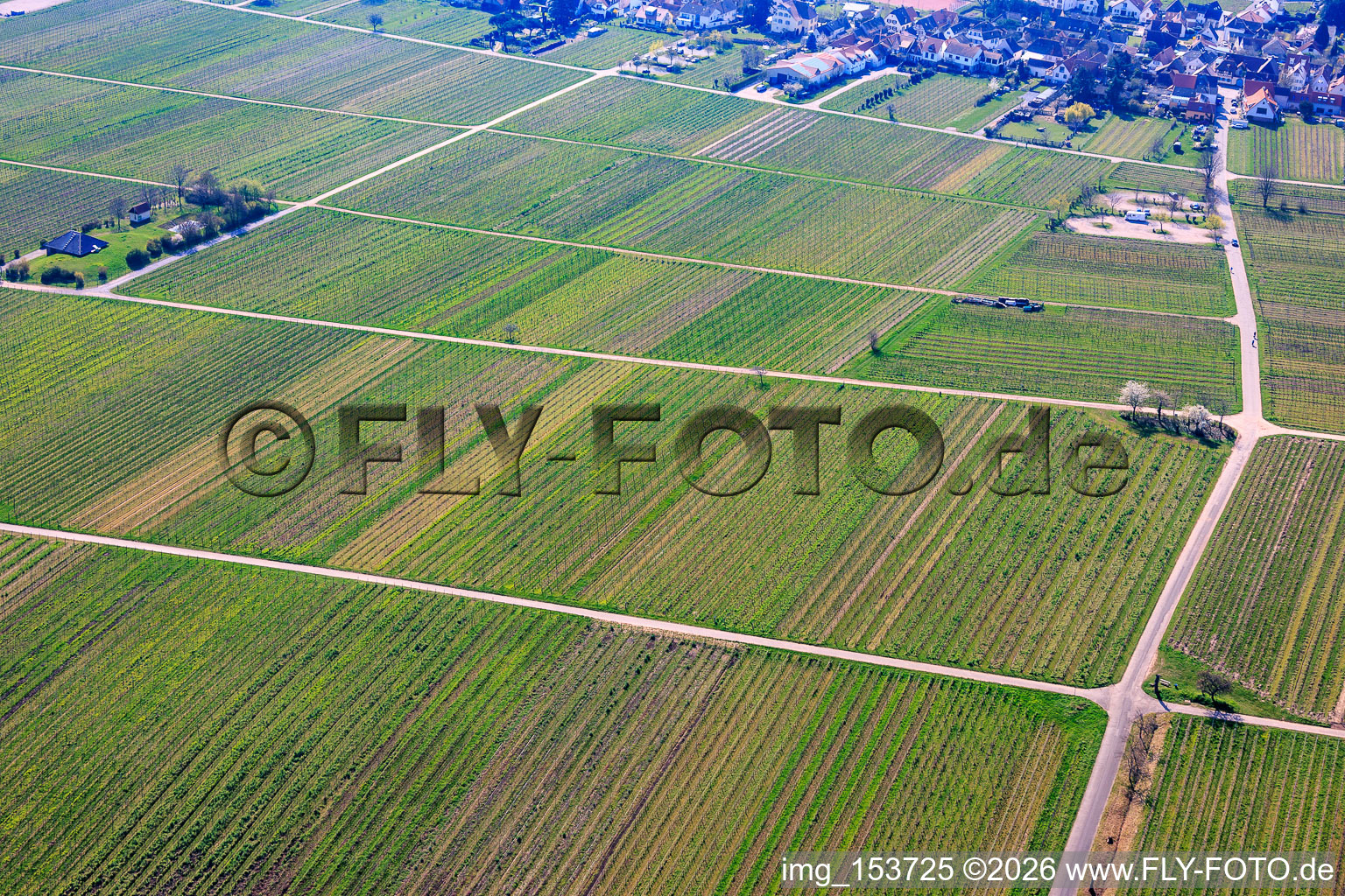 Weinberge und Wohnmobil Parkplatz im Norden des Ortes in Rhodt unter Rietburg im Bundesland Rheinland-Pfalz, Deutschland