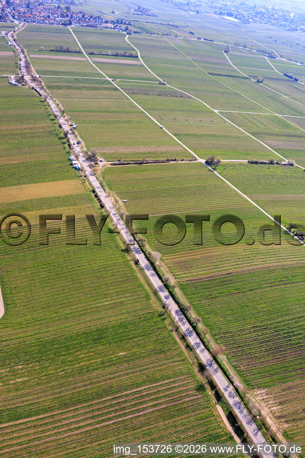 Mandelmeile von Südwesten (Villastraße) in Edenkoben im Bundesland Rheinland-Pfalz, Deutschland
