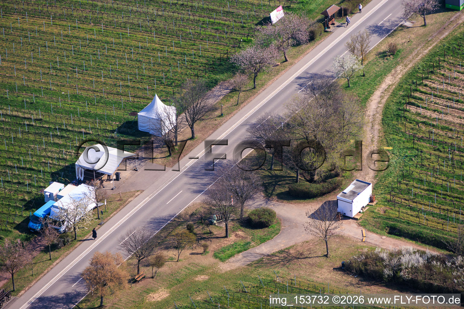 Mandelmeile von Südwesten (Villastraße) in Edenkoben im Bundesland Rheinland-Pfalz, Deutschland