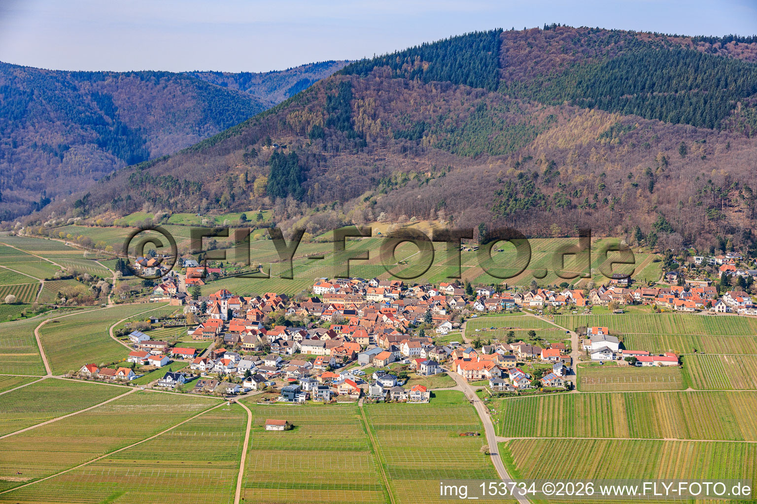 Winzerdorf von Osten im Frühjahr in Weyher in der Pfalz im Bundesland Rheinland-Pfalz, Deutschland