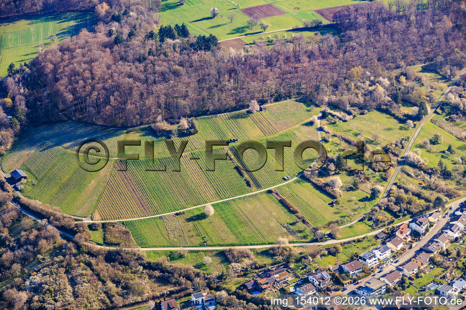 Weinberge der Lagen Dietlinger Klepberg und Ellmendinger Keulebuckel im Ortsteil Dietlingen in Keltern im Bundesland Baden-Württemberg, Deutschland