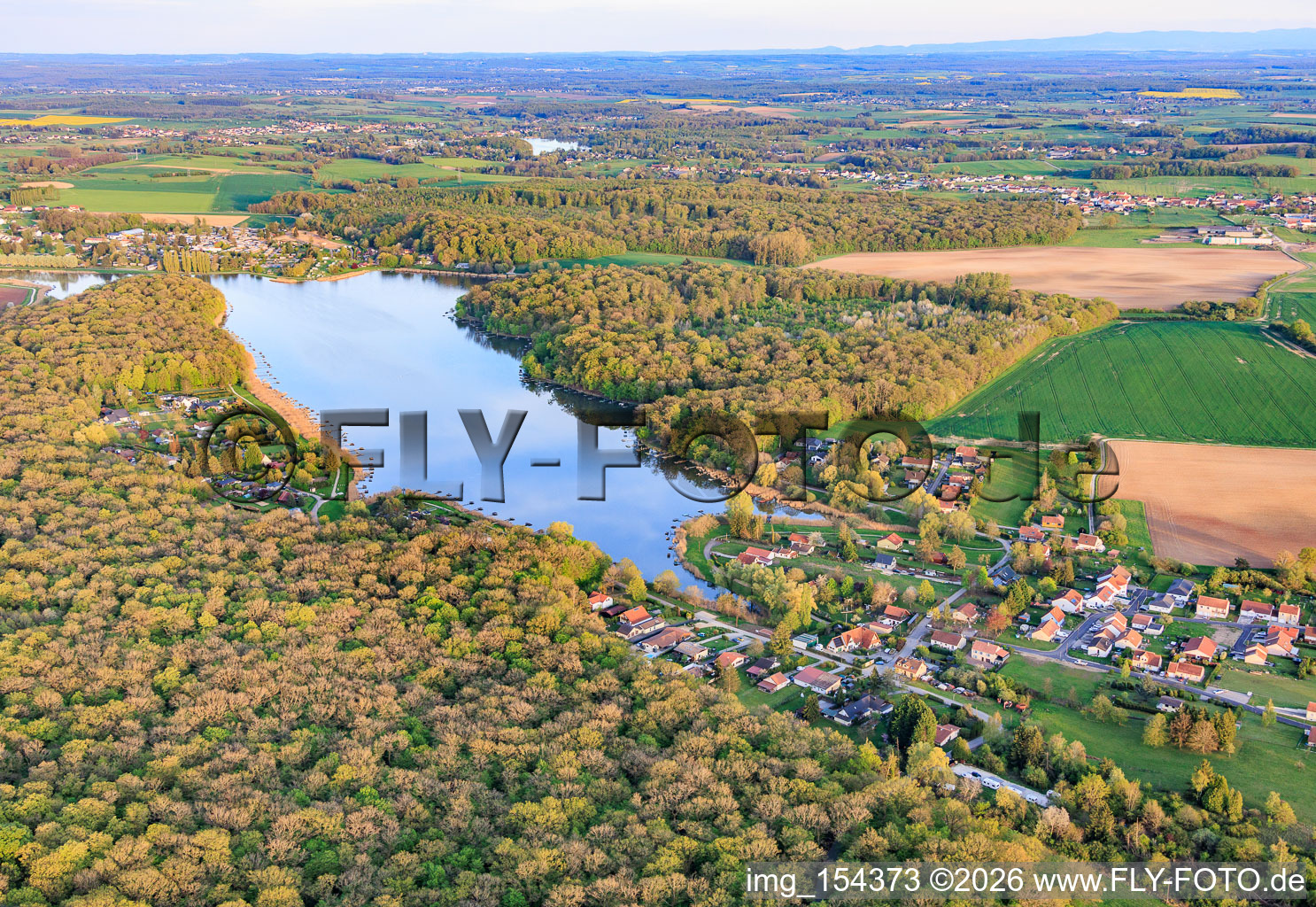 Etang des marais im Wald in Rémering-lès-Puttelange im Bundesland Moselle, Frankreich