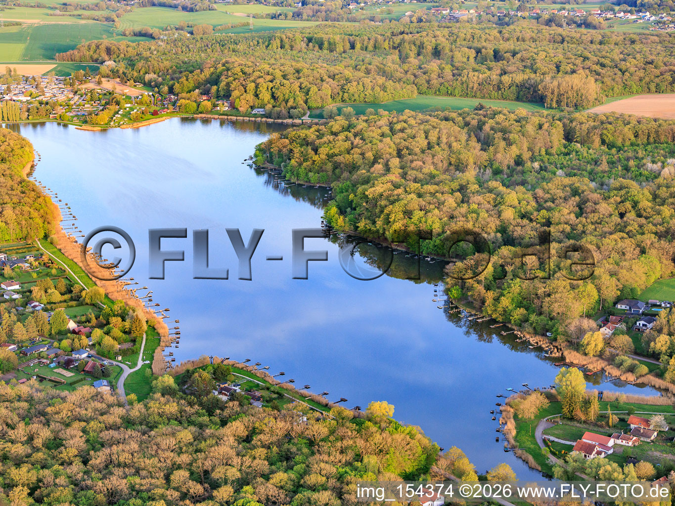 Etang des marais im Wald in Rémering-lès-Puttelange im Bundesland Moselle, Frankreich