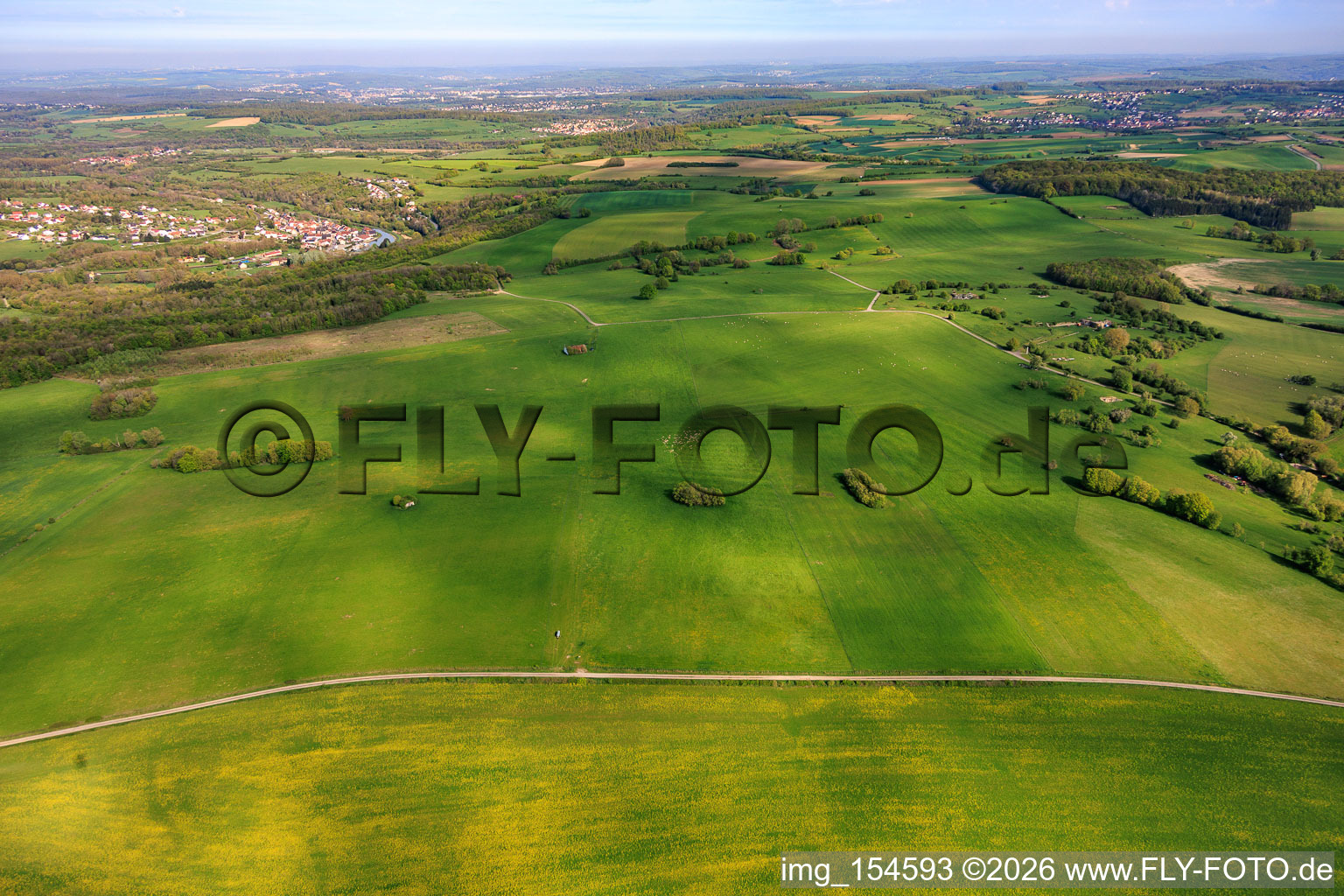 Schafweiden der Ferme Rimlinger in Achen im Bundesland Moselle, Frankreich