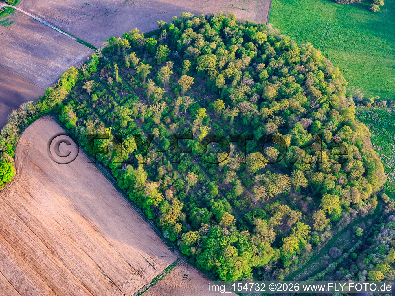 Überwucherte Parzellen am ehemaligen Miltärflugplatz Grostenquin in Lixing-lès-Saint-Avold im Bundesland Moselle, Frankreich